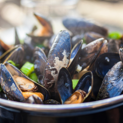 moules